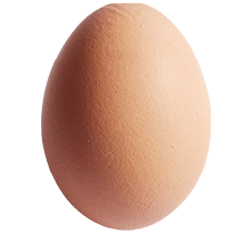 さくら卵