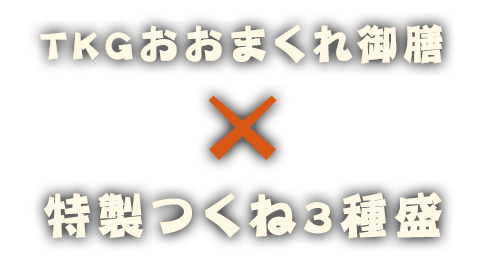 卵かけご飯御膳×特製つくね3種盛