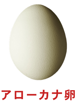 アローカナ卵